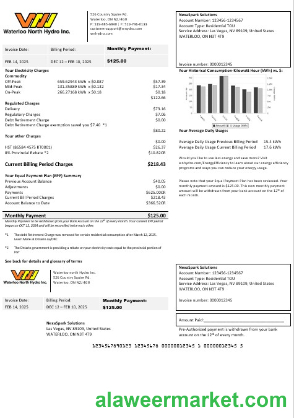 USA Nevada Waterloo North Hydro business utility bill template in Word and PDF formats (version 2)